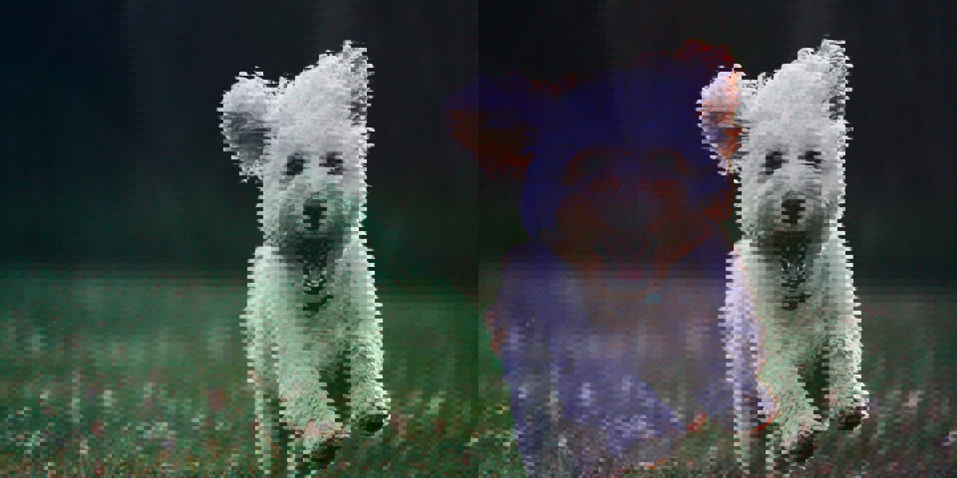 Joe Caione Qo Pif84vxg Unsplash