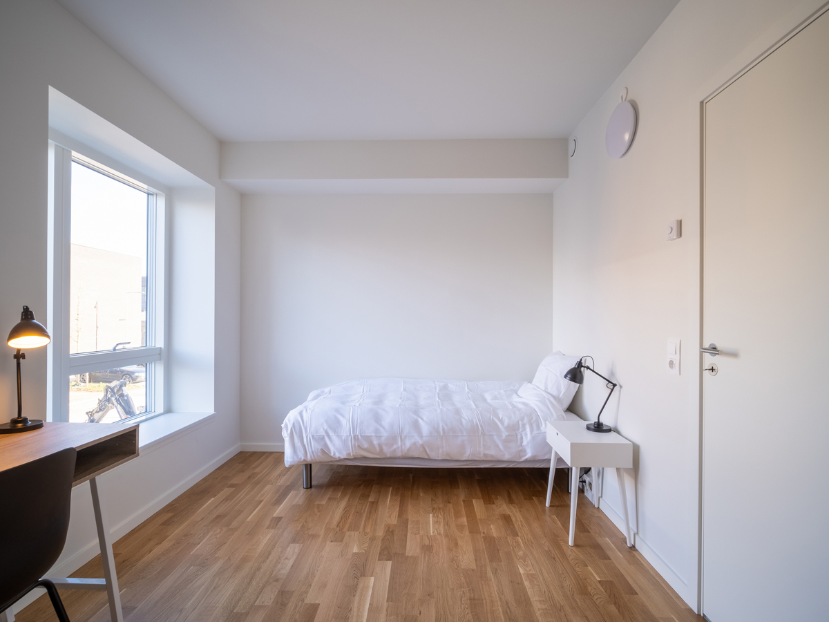 2020 11 03 DSF9710 HDR