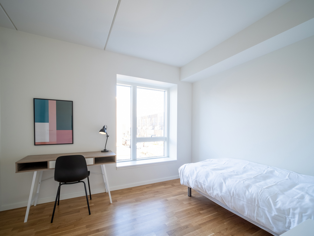 2020 11 03 DSF9690 HDR