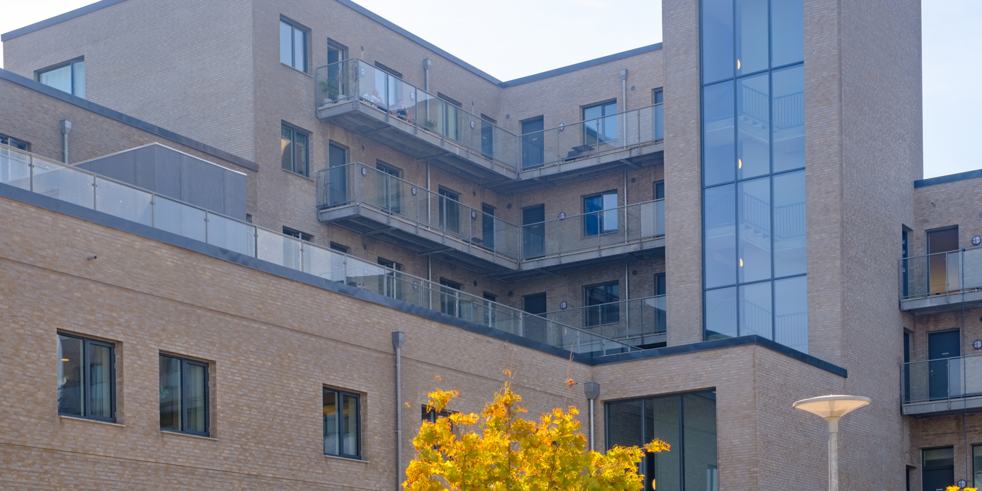 2020 08 12 DSF9421 HDR