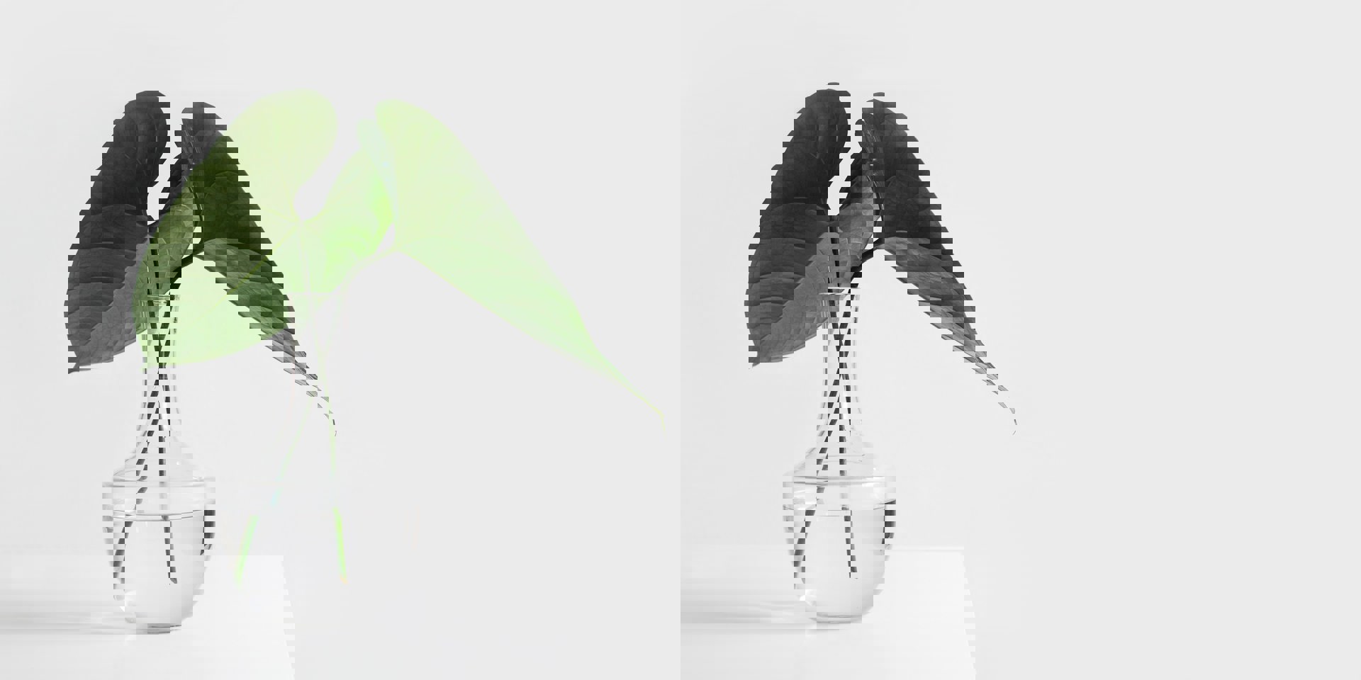 Sarah Dorweiler X2tmfd1 Sga Unsplash (1)