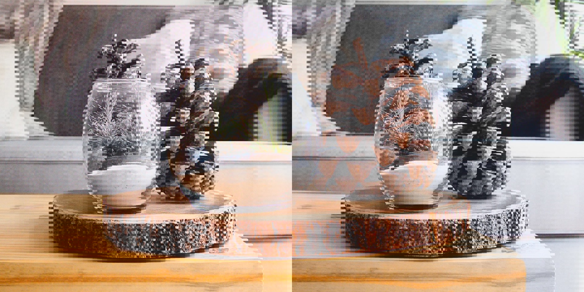 Dane Deaner Qrfmb Ioqje Unsplash