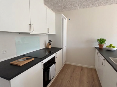 Real Estate Virtual Staging Plan