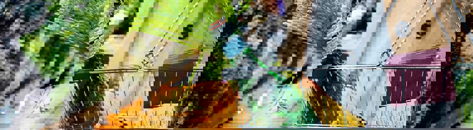 Tara Clark Gk8lg7dshwa Unsplash