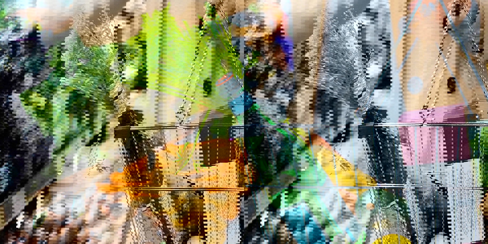 Tara Clark Gk8lg7dshwa Unsplash