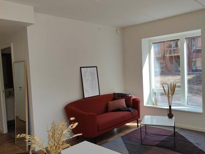 329705093 1042630896604309 7178699502086367389 N