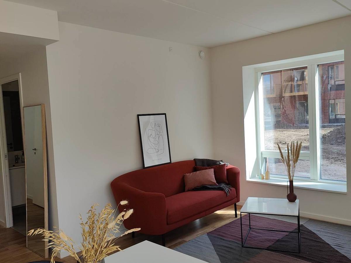 329705093 1042630896604309 7178699502086367389 N